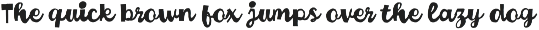 Cheeky Chunky - Sans Vibe Script preview