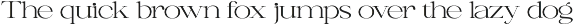 Canella preview