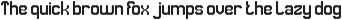 Newton apple font preview