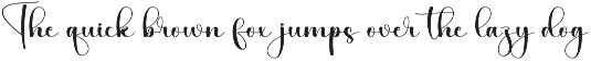Vacation | Script Font preview