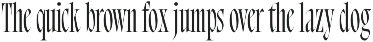 Bersa Serif | Narrow Serif preview