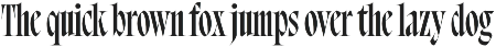 Bersa Serif | Narrow Serif preview