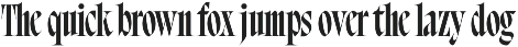 Bersa Serif | Narrow Serif preview