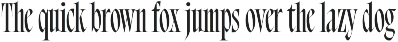 Bersa Serif | Narrow Serif preview