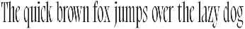 Bersa Serif | Narrow Serif preview