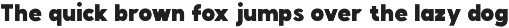 Bigframe Modern Display Sans Font preview