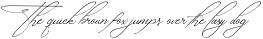 Amorate Signature - Script Font preview