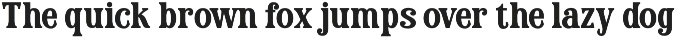 Brenoir - Elegant Decorative Serif preview