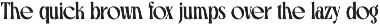 Coral Root - Stylish Serif Font preview