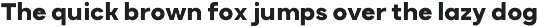 Variable Geometris Sans - Etermal preview