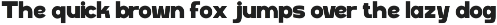 Marony || modern sans preview