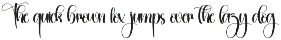 Coasters | Script Font preview
