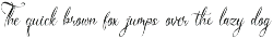 Del Lante Elegant Calligraphy Script preview