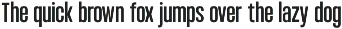 Condensed Variable Font - Bounder preview