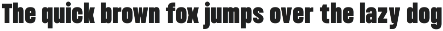 Condensed Variable Font - Bounder preview