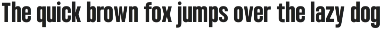 Condensed Variable Font - Bounder preview