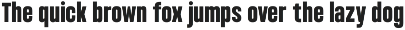 Condensed Variable Font - Bounder preview