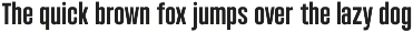 Condensed Variable Font - Bounder preview