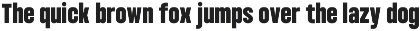 Condensed Variable Font - Bounder preview