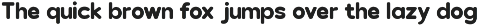 Baugy Fun Display Logo Font preview
