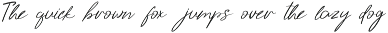 Aurelyanne - Elegant Modern Script preview