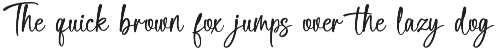 Delica Sitteen Casual Handwritten preview