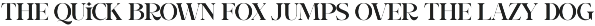 Sovira - Modern Ligature Serif preview