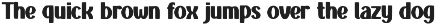 Chunky is a bold preview