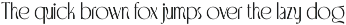 CS Akagi – Elegant Sans Serif preview