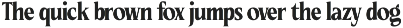 Ceganf Modern High Contrast Serif preview