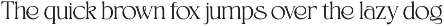 Beyline - Unique Elegance Serif Font preview