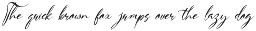 Haniquta | Beauty Calligraphy Script preview