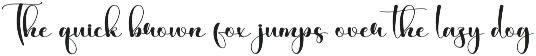 Bakery | Script Font preview