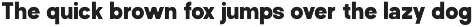 Perfect Corporate Sans Serif Family preview
