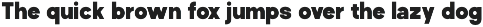 Perfect Corporate Sans Serif Family preview