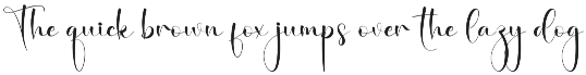 Overtimes | Script Font preview