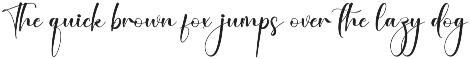 Winter Fest | Script Font preview