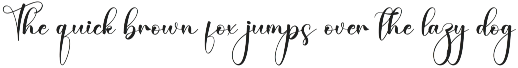 retro | Script Font preview