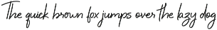 Boundless Wing Handwritten Font preview