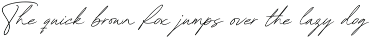 Madden Guilla - An Elegant Font preview