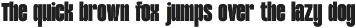 TBJ Margin Condensed – Strong Bold preview