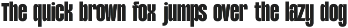 TBJ Margin Condensed – Strong Bold preview