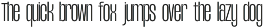 TBJ Margin Condensed – Strong Bold preview