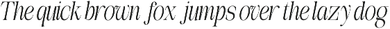 The Belvina Editorial 13 Font Style preview