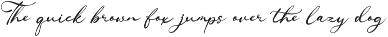 Ranuficah Elegant Calligraphy Script preview