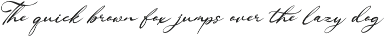 Ranuficah Elegant Calligraphy Script preview
