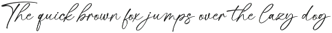Mastine - Elegant Handwritten Font preview