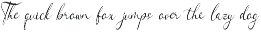 Woncherlly Elegant Calligraphy preview