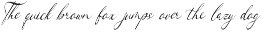 Woncherlly Elegant Calligraphy preview