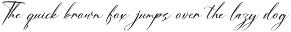Dialmeray | Elegant Calligraphy Scri preview